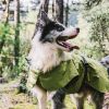 Dog Coats Small Waterproof,Warm Outfit Clothes Dog Jackets Small,Adjustable Drawstring Warm And Cozy Dog Sport Vest-(Green size XL)