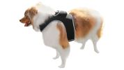 Realtime GSM Dog Collar GPS Tracker Rechargeable Pet Locator w/ Mobility Sensor Size:L