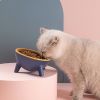 Raised Tilted Elevated Cat Food Bowl Pet Backflow Prevention Water Dish Feeding Bowl for Cats Small Dogs GPCT3388